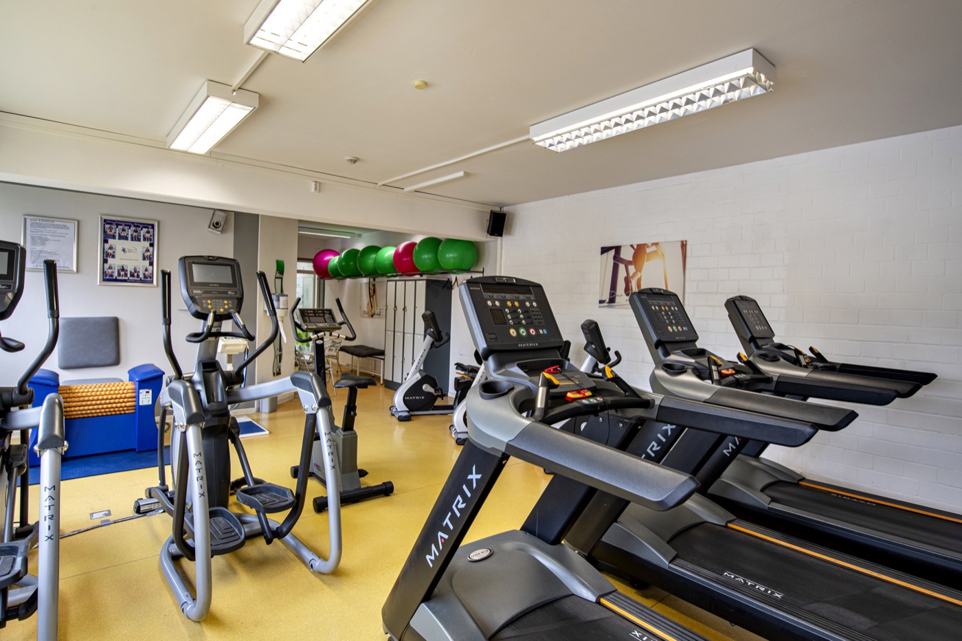 Cardio-Bereich mit Laufbändern und Crosstrainern